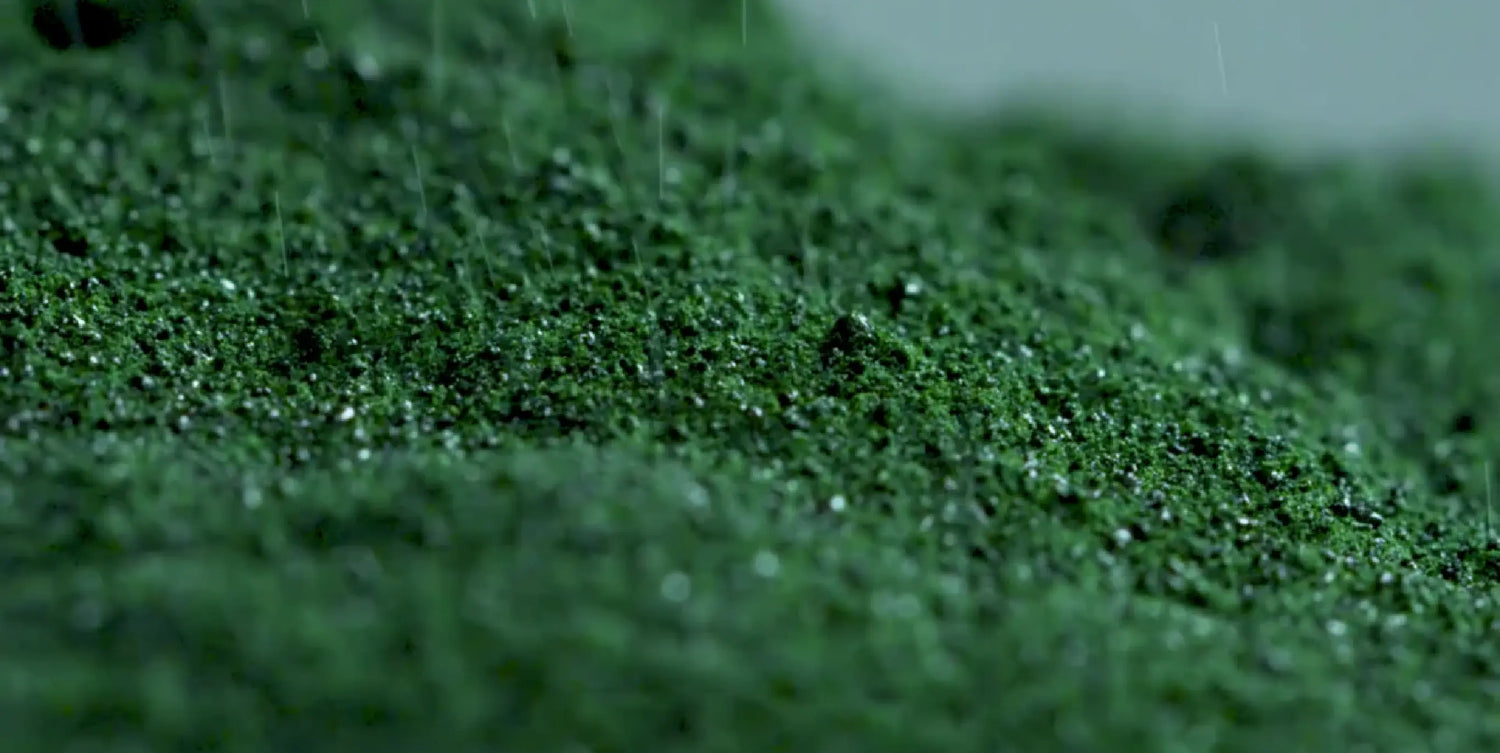 spirulina