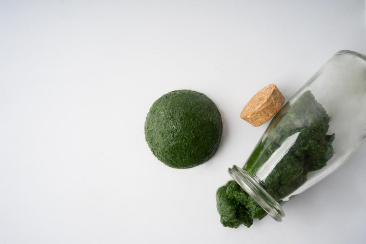 Spirulina Fresca - Spirulina biologica italiana