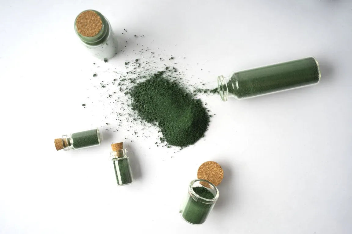 Spirulina Polvere